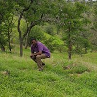 عبدالمنعم مصطفي