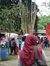Dian Za...