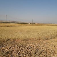 عبدالجواد حمص