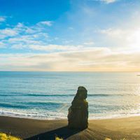 احمد الريشي