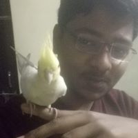 Kumar rishav