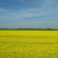 Heinz-Josef Sprengkamp