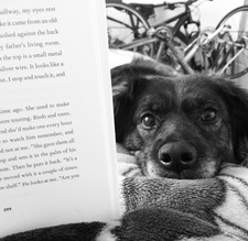 Kimberly Needham-Phan