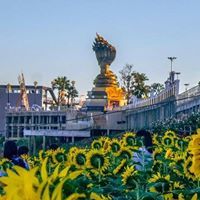 อาจีน ถิ่นวิไล