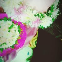 أسماء البسيونى