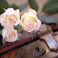 مهندس التعليم