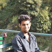 Aditya Narayan