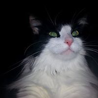 Deborah Davidson-Lapier