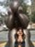 Divya F...