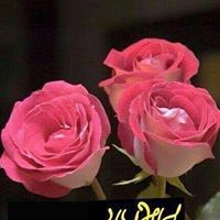 Bhawna Garg