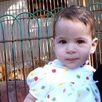 Judy Tarek