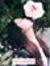 Phan Linh