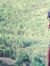 AlKo LuQs