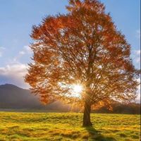 متعب الزهراني