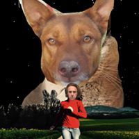 Luke Proust