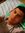 Alejand...