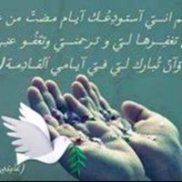 Ibrahim Adil Ibrahim