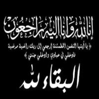 Amr Hamza