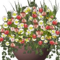 سماهر زكريا