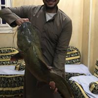 Mohamed Gaber