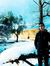 Amjad L...