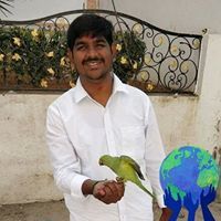 Karthik Krishnamurthy