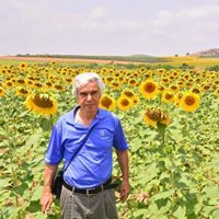 Şahin Yiğitsözlü