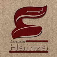 Ameer Hamza