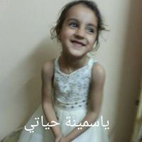 محمد البرهامي