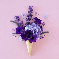 فآاطمة السيد