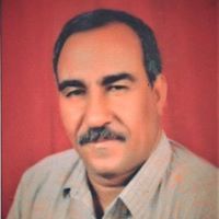 Mohamed Ghareeb