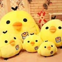 Pavithra Rajagopalan