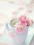 Syeda Asif