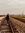 Nazzare...