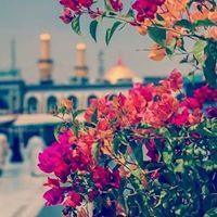 زينب الفاعور