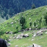Fairoz Ahmad