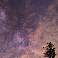 جوري المعثم