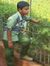 Pandu P...