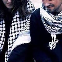 ياسر ابو غالي