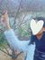 Thuy Hi...
