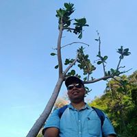Prashant Shivalkar