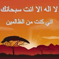 مهند ابو صفد