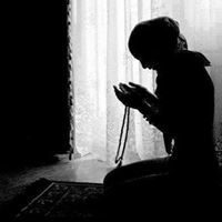 Emy ELsayed