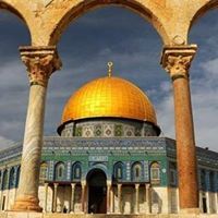 حسام مبارك أبو محمد