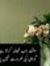 Yasser ...
