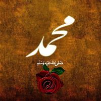 Ahmed Hamdy