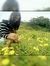 Ruchi D...