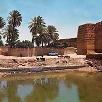 أبوزكرياء السوسي