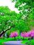 Sumit P...