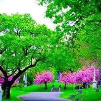 Sumit Pareek